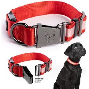 Country Living by Silver Paw Light Up Dog Collars, LED USB Rechargeable Dog Coll
